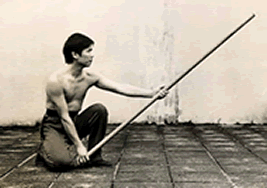 Master Lam Kam Chuen - www.chikungamsterdam.com