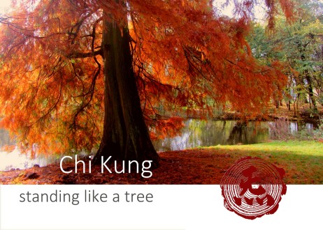 kl 3 Flyer 14 werkversie 2 zondagmiddag